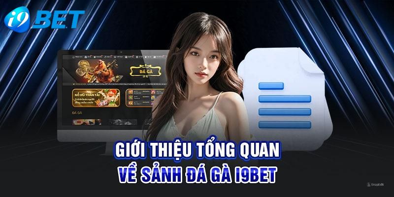 Tìm hiểu thông tin về đá gà I9BET